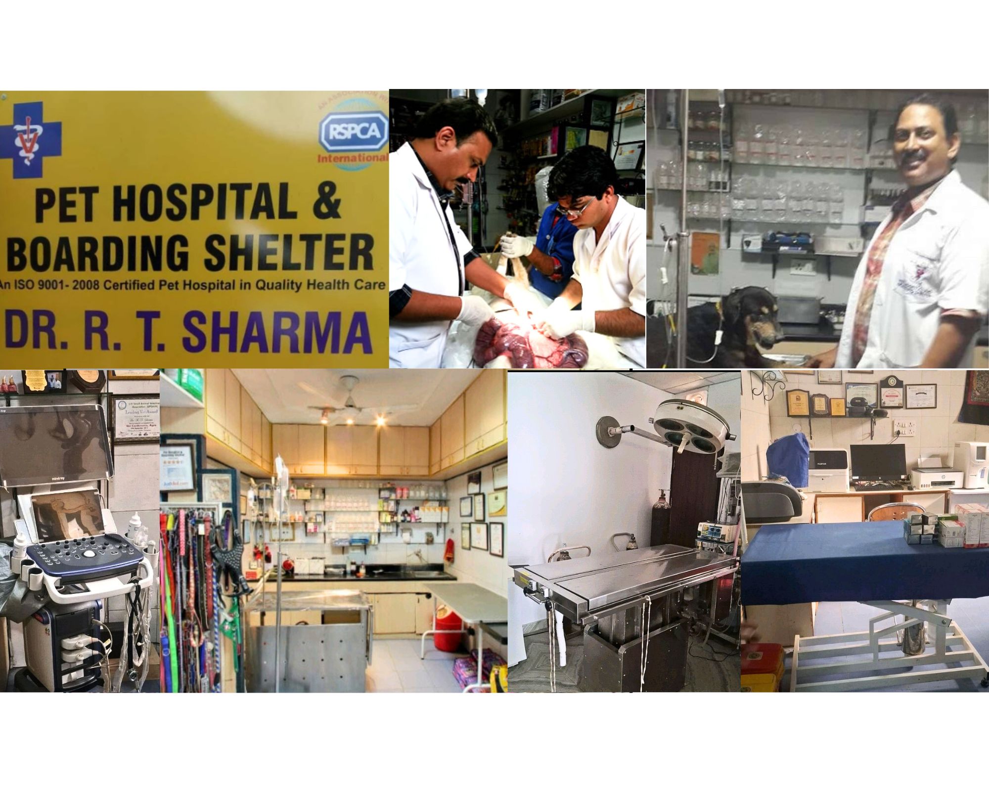 Dr. R.T. Sharma